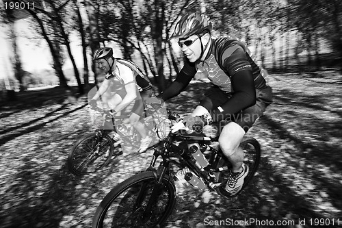 Image of Mountainbiking #3