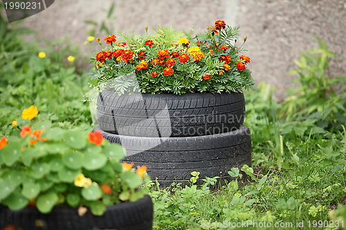 Image of floral flowerbed