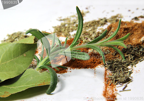 Image of Spices and herbs