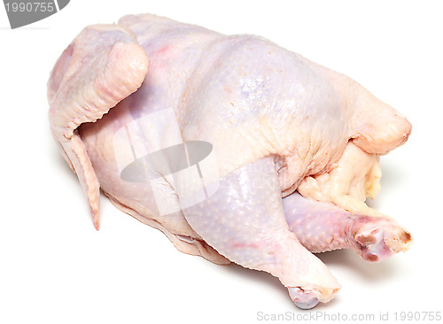 Image of raw chicken 