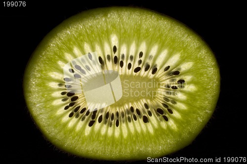 Image of kiwi