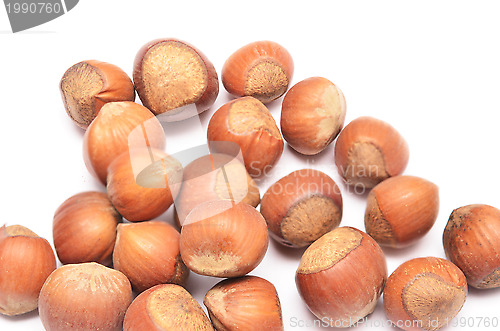 Image of hazelnuts