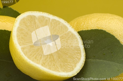 Image of lemon
