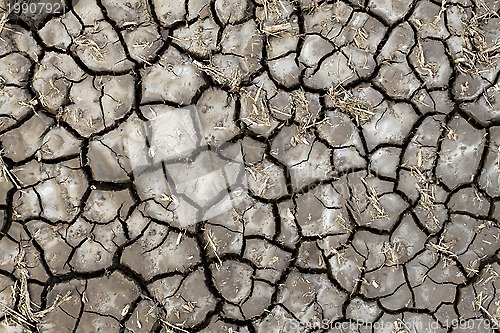 Image of Dry soil texture