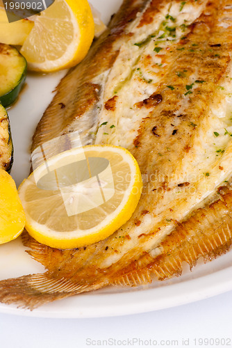 Image of Fresh sole