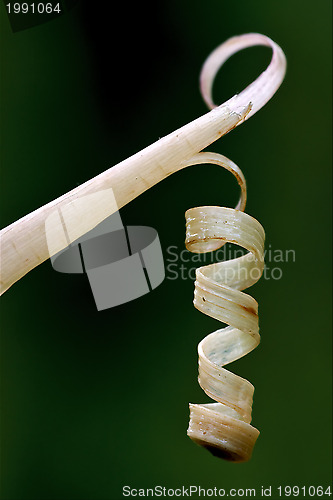 Image of roll up 