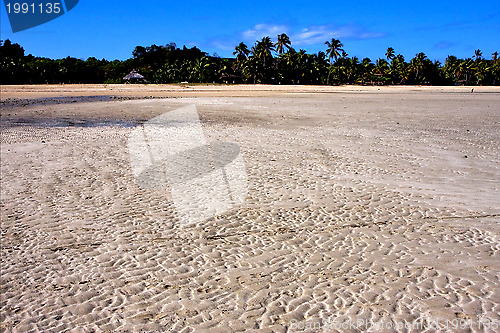 Image of seaweed and beach