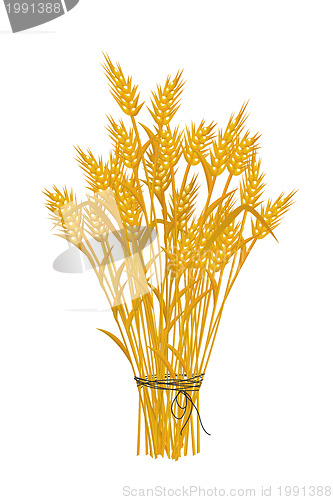 Image of Golden wheat icon