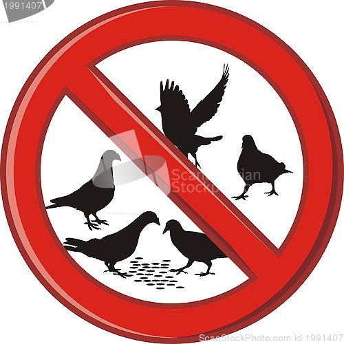 Image of Ban on feeding pigeons