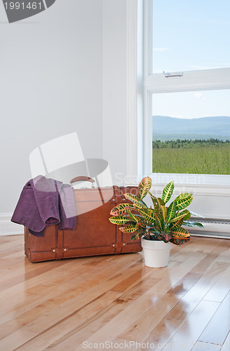 Image of Retro suitcase and bright plant in empty room