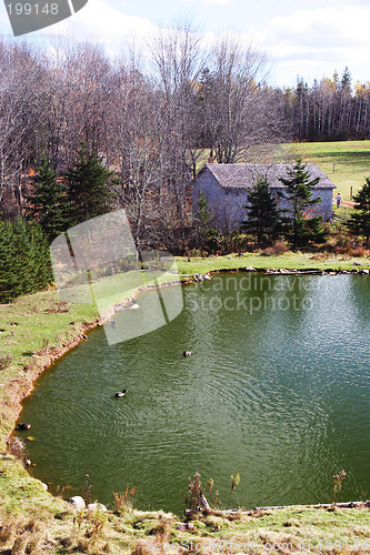 Image of Duck pond and farm building