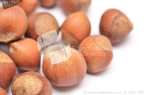 Image of hazelnuts