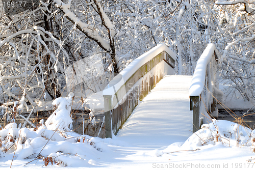 Image of Bridge over a stream following a heavy snow in a wooded setting