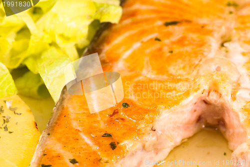 Image of Grilled salmon closeup