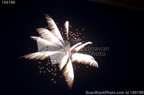 Image of Firecrackers In The Sky