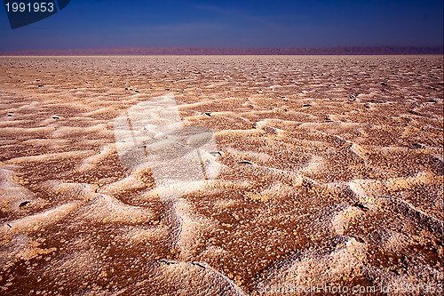 Image of chott el jerid desert