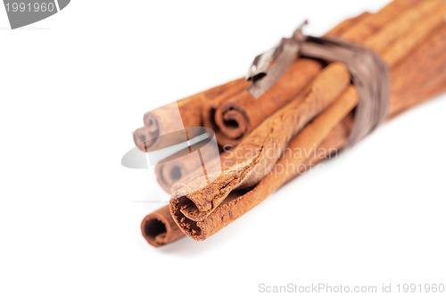 Image of cinnamon