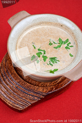 Image of Mushroom cream  soup