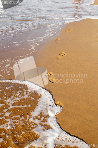 Image of Footsteps on the beach