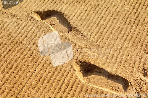 Image of Human footprints on the beach sand