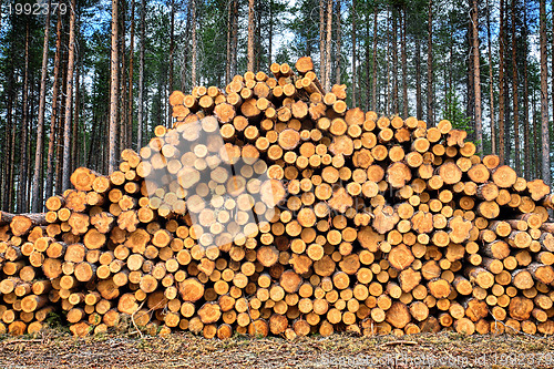 Image of stacked Logs 