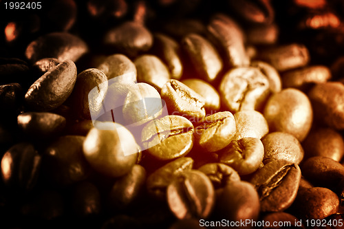 Image of Fragrant fried coffee beans 