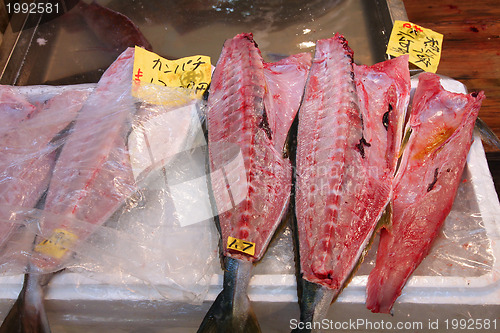 Image of Tsukiji Fish Market