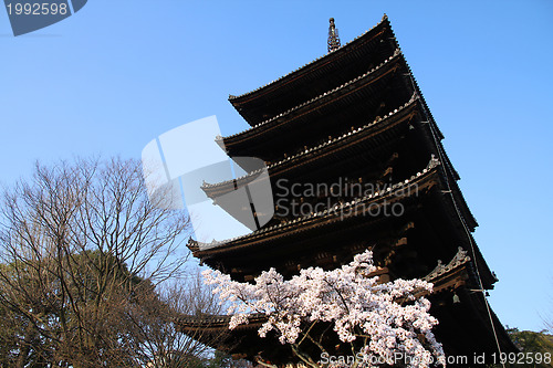 Image of Kyoto, Japan