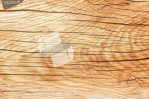 Image of Wooden background
