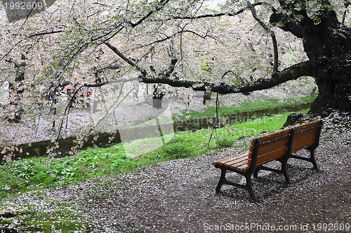 Image of Hirosaki, Japan