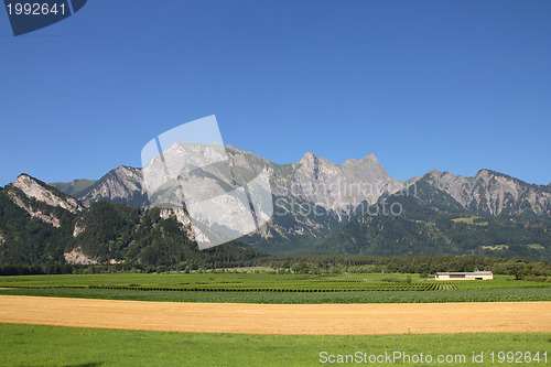 Image of Switzerland agriculture
