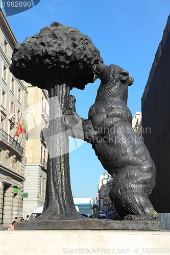 Image of Madrid bear