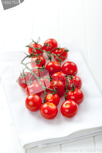 Image of Fresh tomatoes