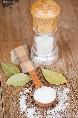 Image of salt in spoon and shaker, bay leaves