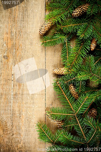 Image of christmas fir tree with pinecones