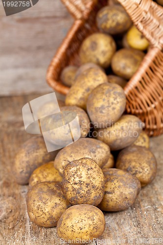 Image of basket with fresh potatoes 