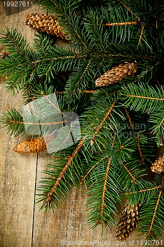 Image of christmas fir tree with pinecones