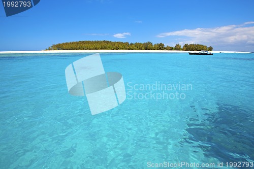 Image of Zanzibar beach