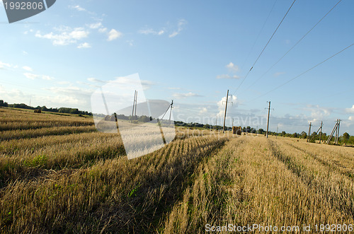 Image of Straw bales field electric poles autumn sky 