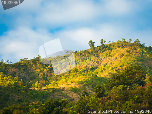 Image of Bali countryside