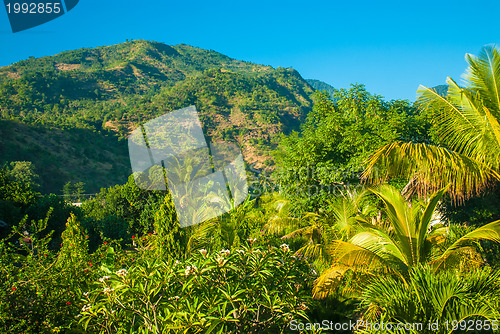 Image of Bali path and landscape