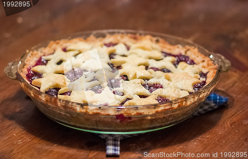 Image of Blackberry Pie