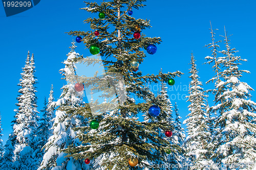 Image of Decorated seasonal tree in a winter forest