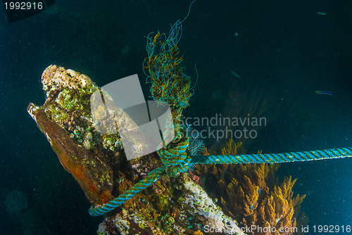 Image of Underwater shipwreck