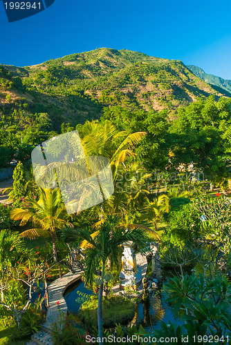 Image of Bali path and landscape