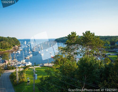 Image of Harbor at Rockport, Maine seen from high