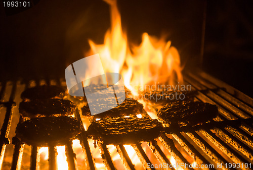 Image of Hamburger patties