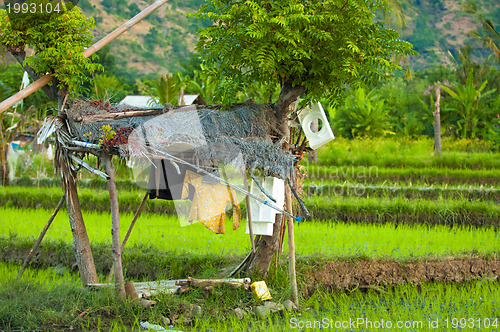 Image of Hut with laundry in Bali