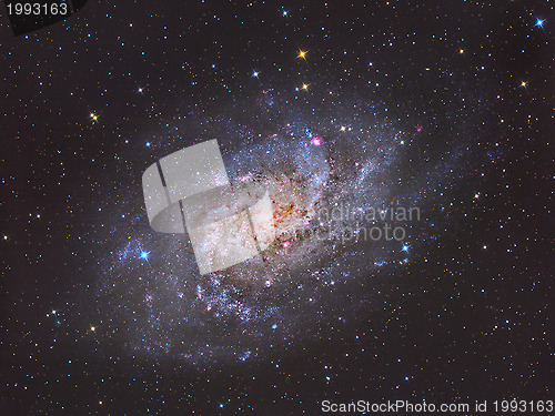 Image of Triangulum Galaxy M33