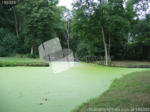 Image of green water, by kasteel de Haar
